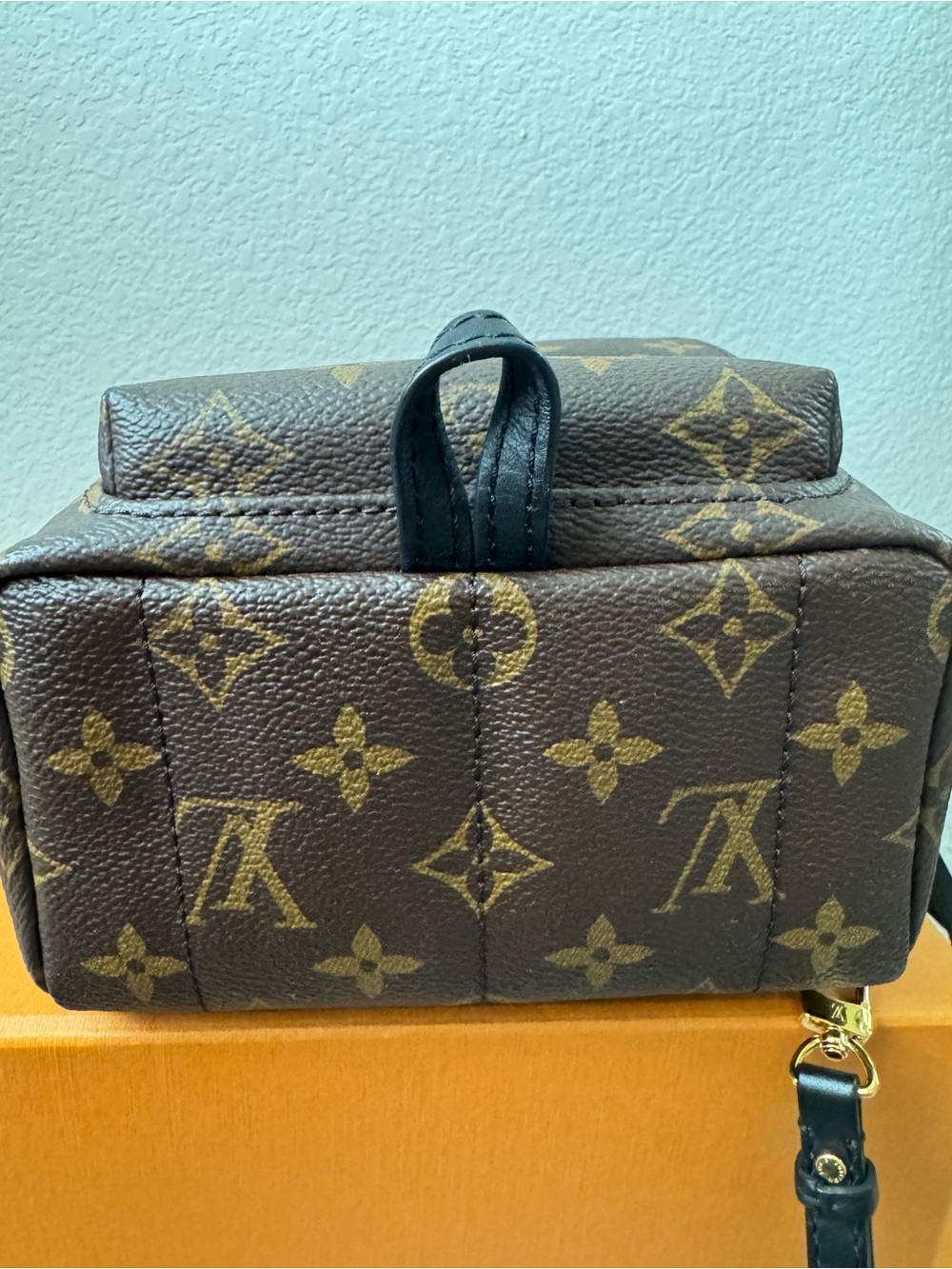 Louis Vuitton Palm Springs mini Backpack - Picture 7 of 12